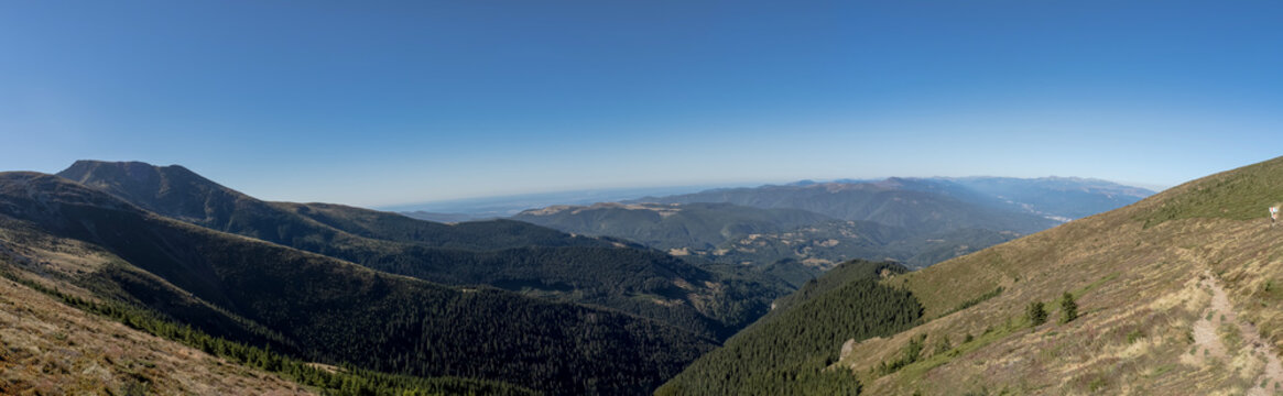 A wide panoramic view of alpine slopes, dense pine forests, and mountain ridges under a clear blue sky in the Par&acirc;ng Mountains, Romania.