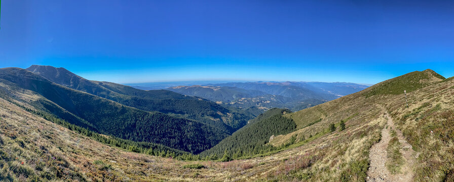 A wide panoramic view of alpine slopes, dense pine forests, and mountain ridges under a clear blue sky in the Par&acirc;ng Mountains, Romania.