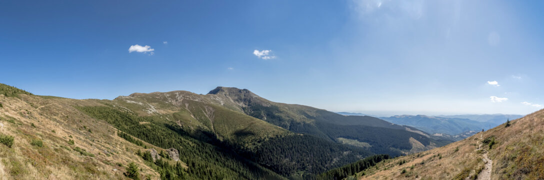 A wide panoramic view of alpine slopes, dense pine forests, and mountain ridges under a clear blue sky in the Par&acirc;ng Mountains, Romania.