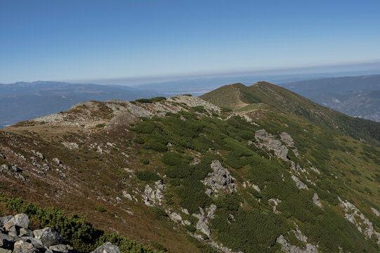 A scenic view of a hiking trail along the alpine ridge in the Par&acirc;ng Mountains, Romania, surrounded by rocky terrain and dwarf pine vegetation under a clear blue sky.