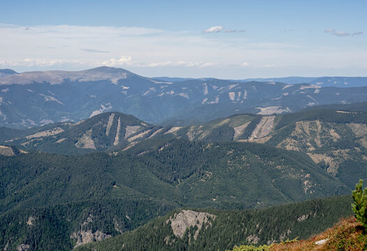 A scenic landscape view of the Par&acirc;ng Mountains in Romania showing forested mountain slopes affected by deforestation and clear-cutting under a blue sky.