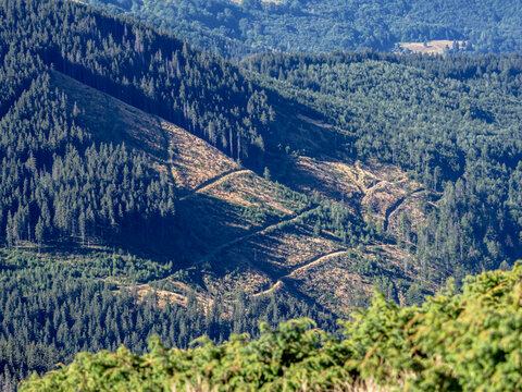 A scenic landscape view of the Par&acirc;ng Mountains in Romania showing forested mountain slopes affected by deforestation and clear-cutting under a blue sky.