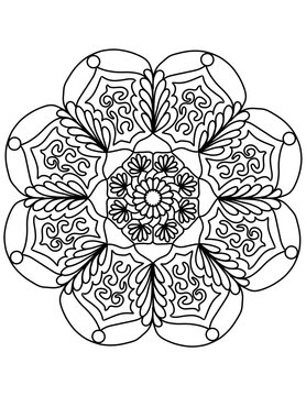 vector illustration of a flower