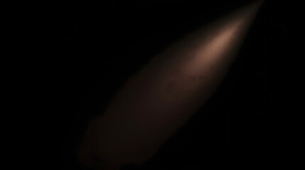 Obraz premium Missile Launch: A powerful missile, illuminated by a dramatic spotlight, ascends into the darkness, symbolizing power, progress, and technological advancement.
