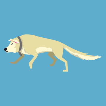 A flat design vector illustration of a light tan dog trotting forward, wearing a gray collar, shown in side profile on a blue background.