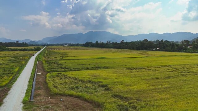 Green Paddy Fields And A Country Road With Mountains Under Cloudy Sky In Balik Pulau, Penang, Malaysia. aerial sideways shot