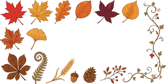 Autumn leaf vector set with maple oak ginkgo chestnut fern wheat acorn pinecone and vine border frame collection