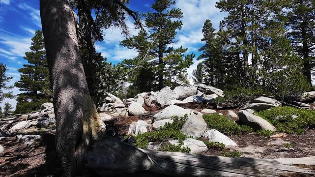 A hike near on a the Lake Tahoe Gondola Ski Lift looking at the trail and the trees on the Mountain Top with the rock summit