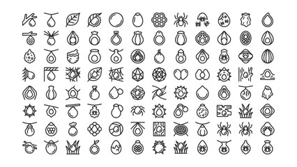 Fototapeta premium Collection of diverse handdrawn symbols representing various fruits seeds plants insects and natural elements
