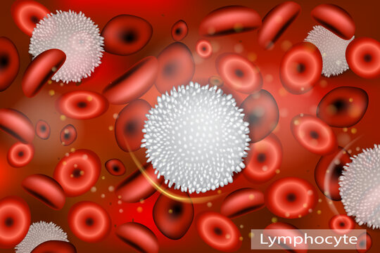 Lymphocyte Cell Among Red Blood Cells in Bloodstream Medical Illustration. Human Immune System White Blood Lymphocyte in Blood Flow with Erythrocytes Medical Background