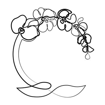 Continuous Line Art Orchid Flower Branch Floral Wreath Line Drawing Vector Illustration in AI EPS SVG PNG