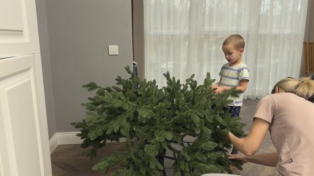 Mother assists child arranging branches of artificial Christmas tree. Warm parenting and holiday preparation scene.