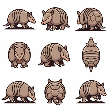 Cute armadillo animal character poses set vector illustration