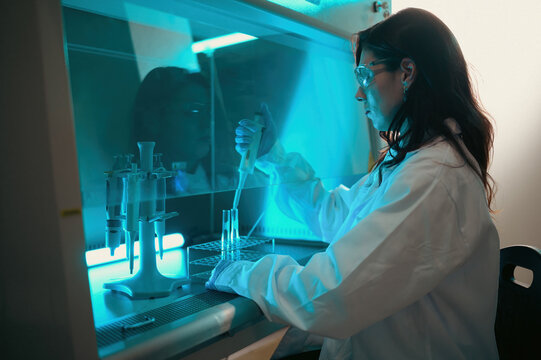 Caucasian Female Scientist Working in Biosafety Cabinet with Pipette in Blue Lit Research Laboratory