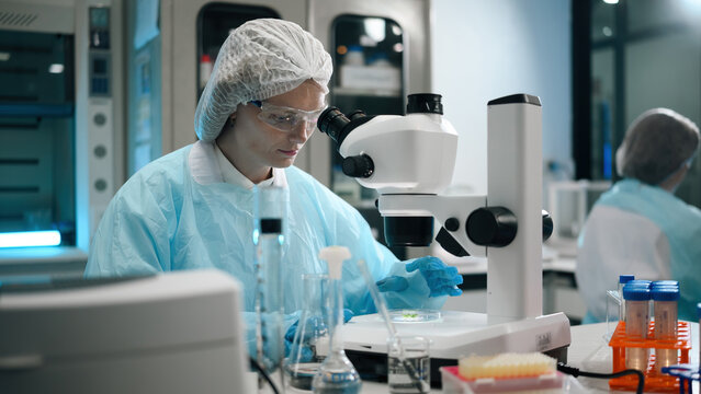 Caucasian Female Scientist Examining Sample Under Stereo Microscope in Modern Research Laboratory