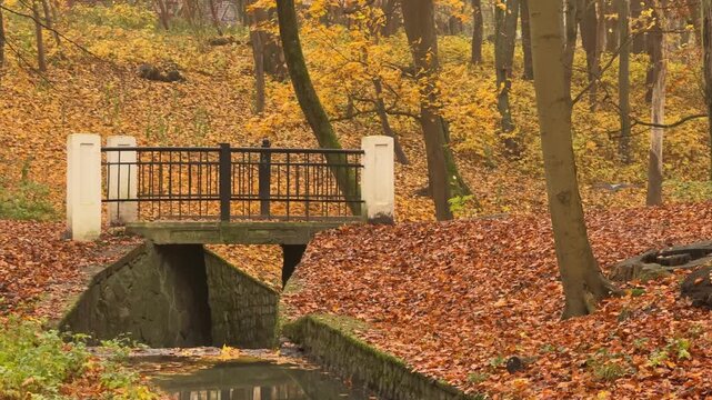 Bridge and canal system integrated into a public park environment. Visual representation of infrastructure, urban development and sustainable public spaces.