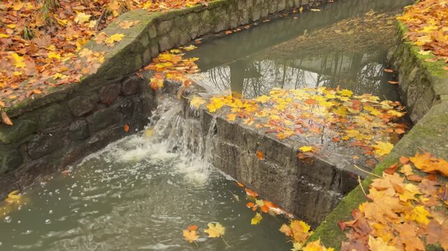 Small waterfall flowing through a stone-lined canal surrounded by colorful autumn leaves in a city park. Scenic freshwater feature in an urban green space during fall season.
