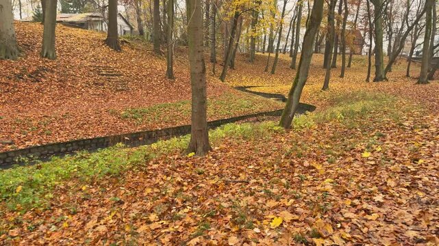 Public park environment featuring a water channel and colorful autumn foliage. Suitable visual for sustainable urban environments and recreation.