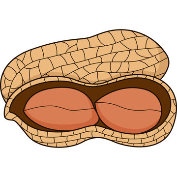 Peanuts Vector Illustration