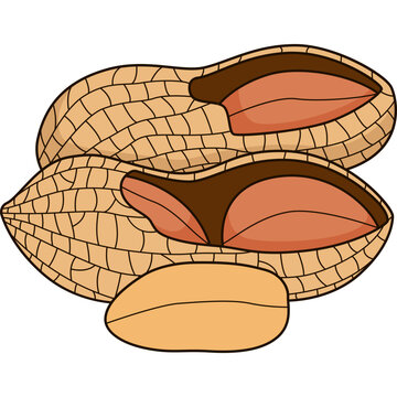 Peanuts Vector Illustration