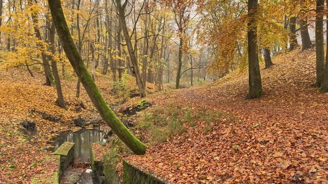 Autumn park landscape with a small creek and hidden pathway among colorful trees. Visual metaphor for finding new opportunities and exploring alternative directions.
