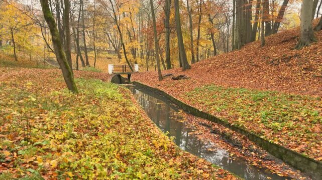Managed water channel surrounded by autumn foliage in a public woodland park. Visual representation of environmental planning and landscape design.