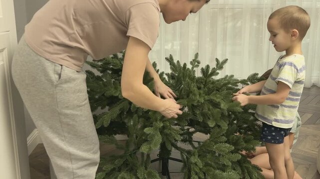 Family preparing Christmas tree by spreading branches evenly. Beginning of decoration process.