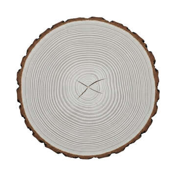Circular cross section of a wooden log showing growth rings isolated on transparent background