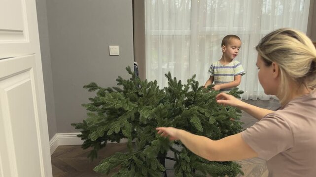 Woman and child preparing Christmas tree by adjusting branches. Domestic festive routine before decoration.