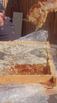 close-up hands harvest honeycomb slowly from wooden beehive, fingers press gently and lift wax cells as golden amber honey oozes, glows, and pools in warm sunlight