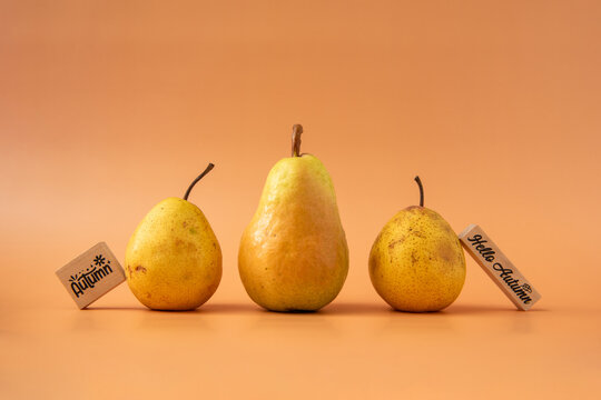Three golden pears arranged in a row beside wooden Autumn and Hello Autumn signs. Warm minimalist fruit composition with gentle lighting, natural texture and seasonal concept.
