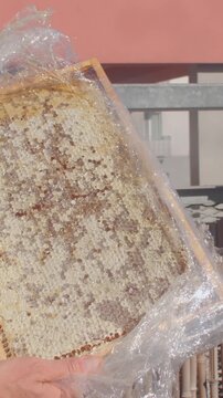 close angled view as hand peels plastic wrap from wooden honeycomb board, exposing capped hexagonal beeswax cells with glistening honey under warm bright sunlight