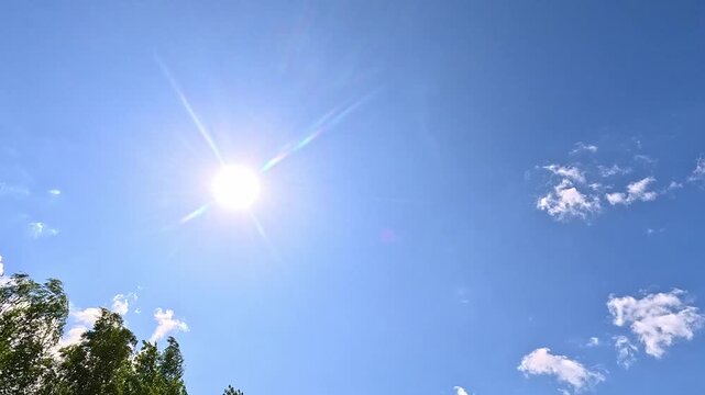 A bright sun shines high in a clear blue sky with soft lens flare radiating outward, while the camera slowly tilts downward to reveal green treetops entering the lower edge of the frame.