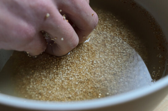 Mano lavando semillas de quinoa para eliminar saponinas