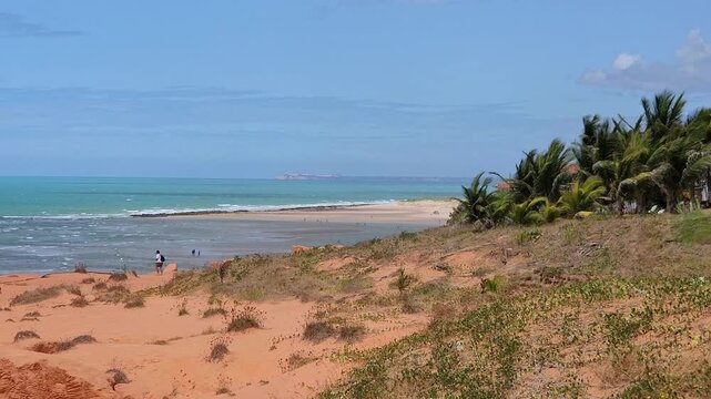 Red Cliffs and Coconut Grove Along the Coast, Canoa Quebrada, Ceara, Brazil