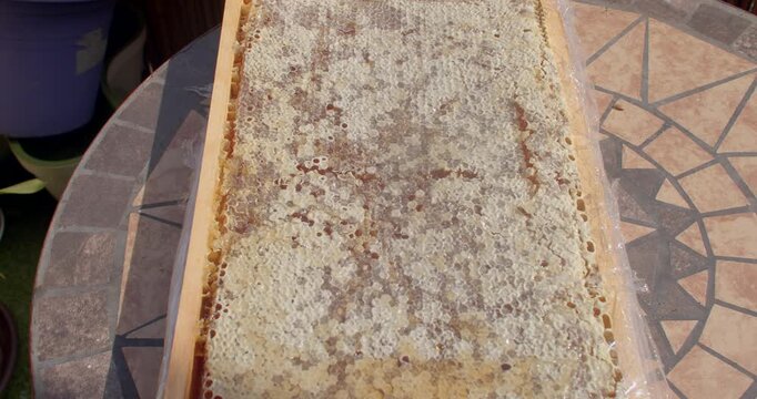 top-centered view of wooden honeycomb border on round outdoor mosaic table, capped hexagonal beeswax cells under sunlight, partially wrapped clear plastic showing