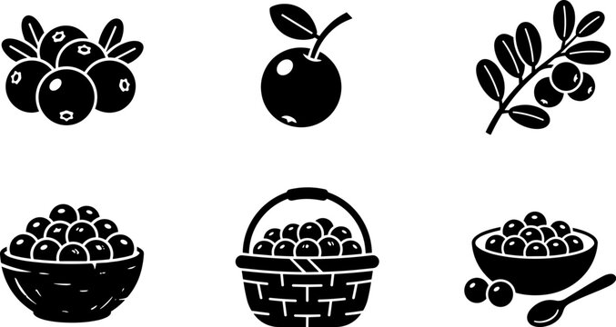 Set of cranberry icons, fresh berries, juice ingredients, vector illustration