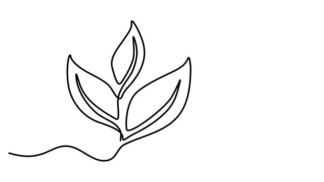 Animated leaves continuous one line drawing. On white background minimalist agriculture and biological science symbol 4k animation video