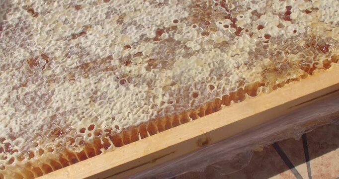 close-up motion of honeycomb with capped beeswax cells and exposed viscous honey, outdoor sunlight creates amber specular highlights as droplets shift and glimmer