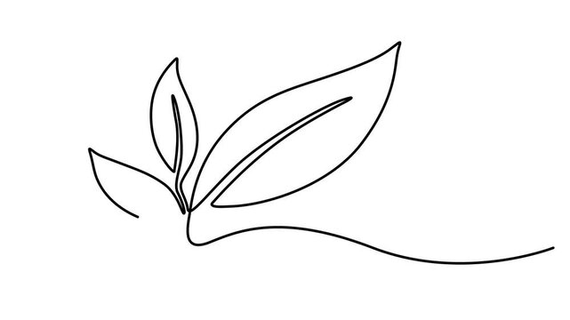 Animated leaves continuous one line drawing. On white background minimalist agriculture and biological science symbol 4k animation video