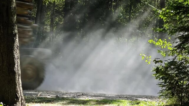 Logging truck loaded with timber driving on dirt road in forest raising dust