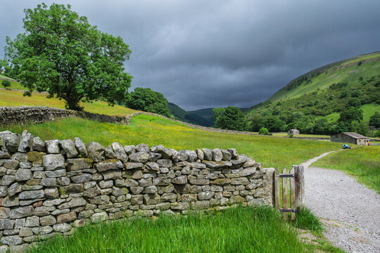 Wildblumenwiesen bei Muker mit typischen Trockenmauern, Swaledale