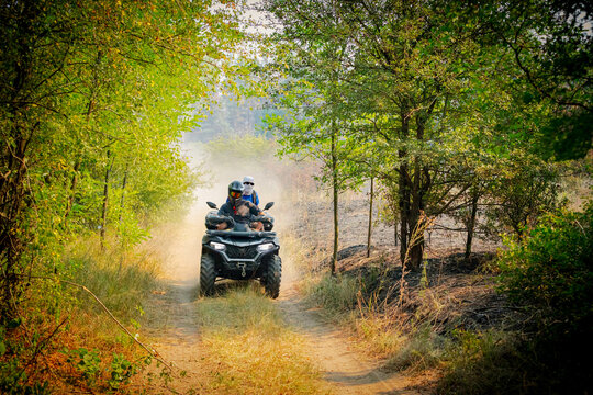 Riders on an ATV quad bike drive an off-road trail in a lush forest