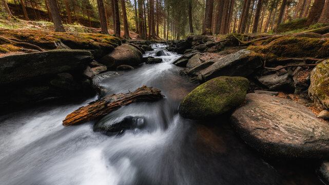A serene rocky creek winds through the spruce forest of &Scaron;umava, Czech Republic, with silky flowing water, moss-covered stones and rich woodland textures creating a peaceful natural scene.