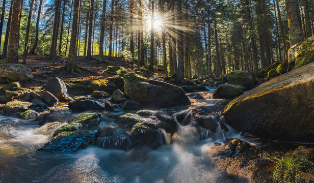 Sunlight filters through a dense spruce forest above a rocky stream in &Scaron;umava, Czech Republic, illuminating mossy boulders and silky cascades in a peaceful landscape surrounded by nature.