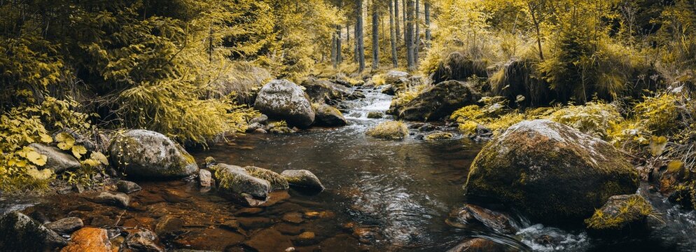 Panoramic view of the Vydra River flowing through a rocky forest landscape in &Scaron;umava National Park, Czech Republic, with moss-covered boulders, clear water and pristine wilderness.