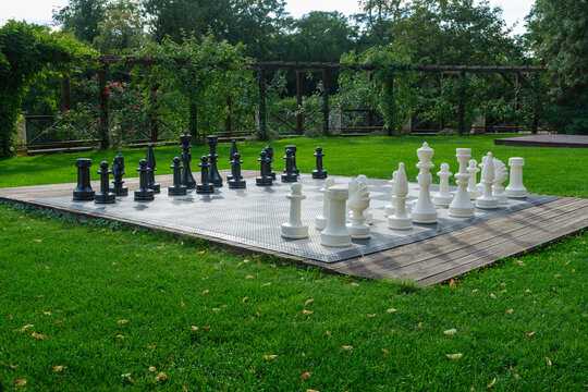 chess pieces on a chessboard in the garden