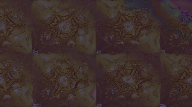 Dark seamless video loop with subtle abstract floral ornaments and mysterious textured details. Elegant atmospheric background for vintage, luxury and cinematic motion design.