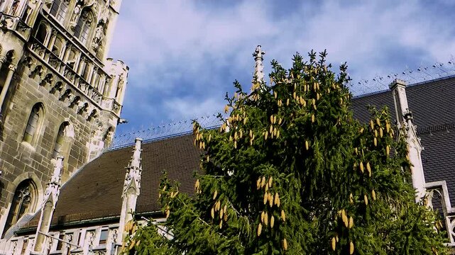 Blick von unten auf den geschm&uuml;ckten Weihnachtsbaum und Rathausturm am Marienplatz