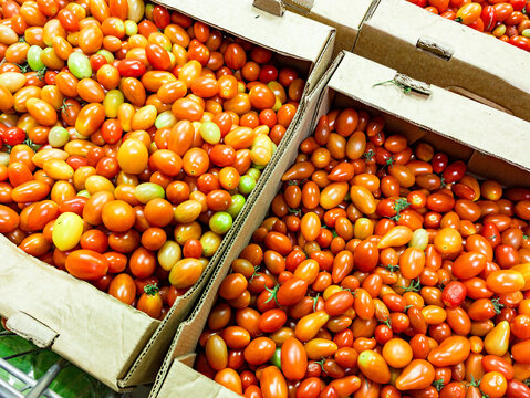 Close-up view of ripe cherry tomatoes displayed in cardboard boxes at a market. Tomatoes vary in shades of red and orange with some green ones mixed in. Fresh produce arranged in bulk ready for sale,